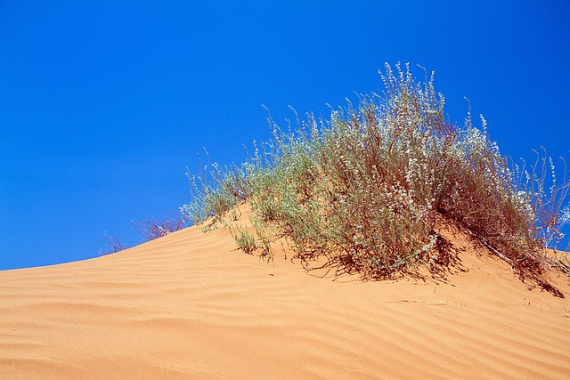 buy-and-hold areas west valley phoenix