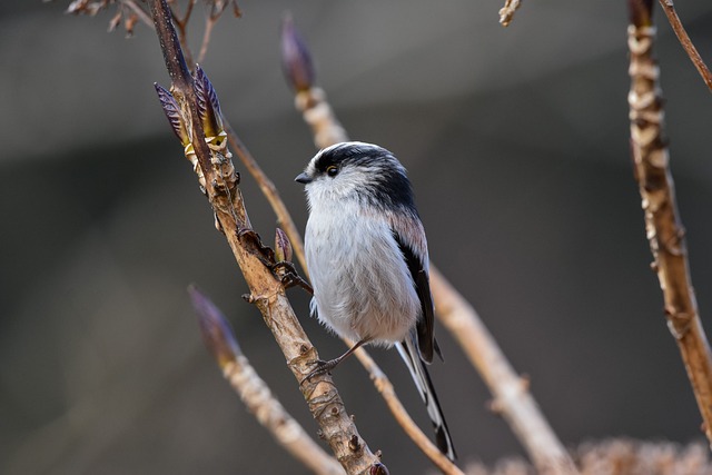 Career relocation guide