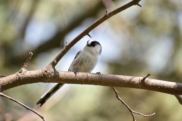 Career relocation guide