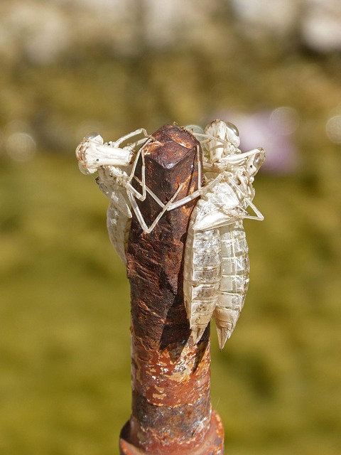 Master Change of Address Checklist for Seamless Property Transition