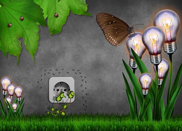 closing cost assistance