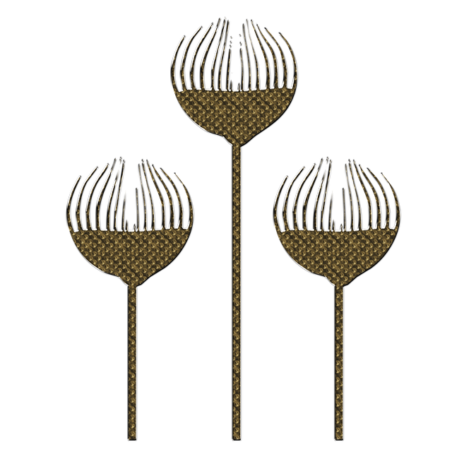 conditional use permit