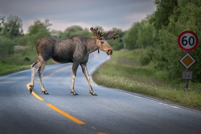 debt-to-income limits