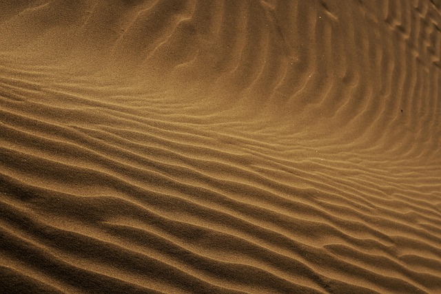 Desert landscape design