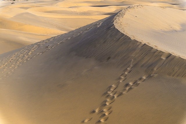 Desert landscape design