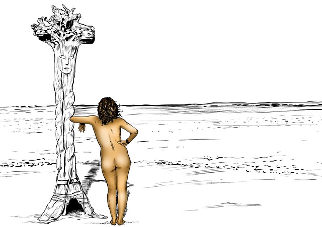 Desert landscape design