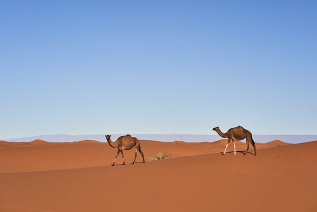 desert-specific HVAC