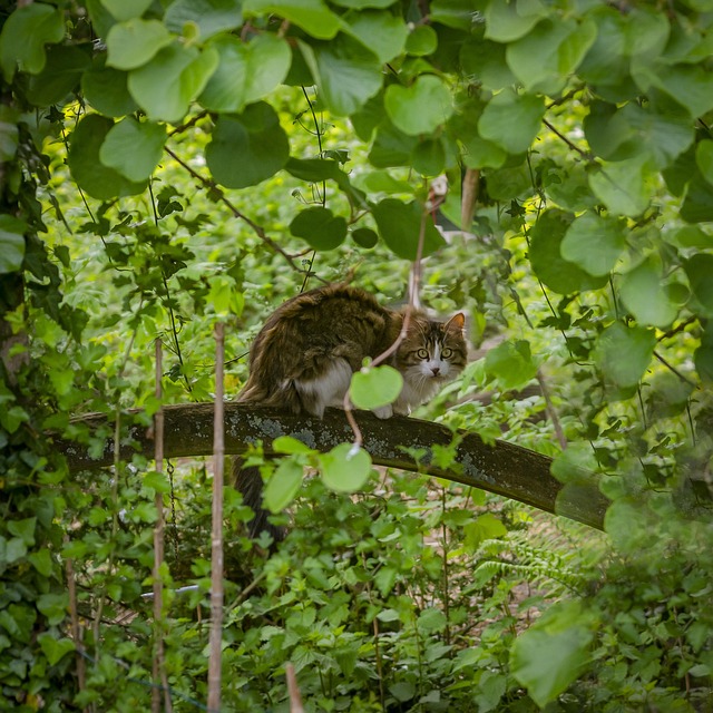 discreet path for qualified sellers phoenix az