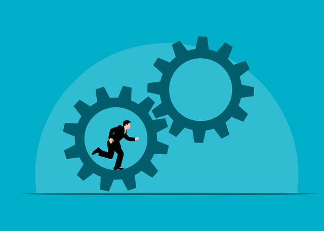 Downsizing with efficiency