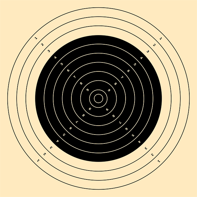 downtown phoenix population growth 2030 targets