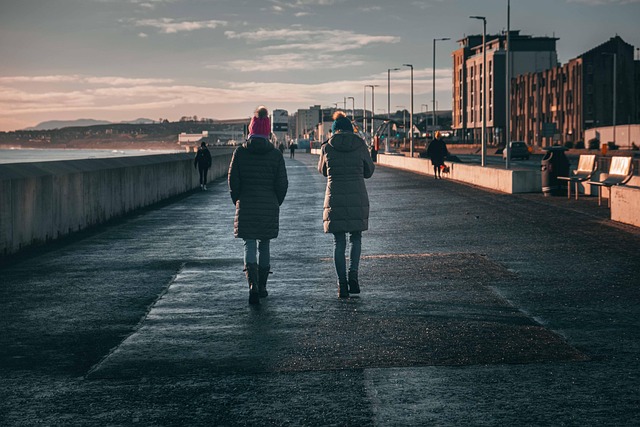 downtown phoenix walk score for professionals