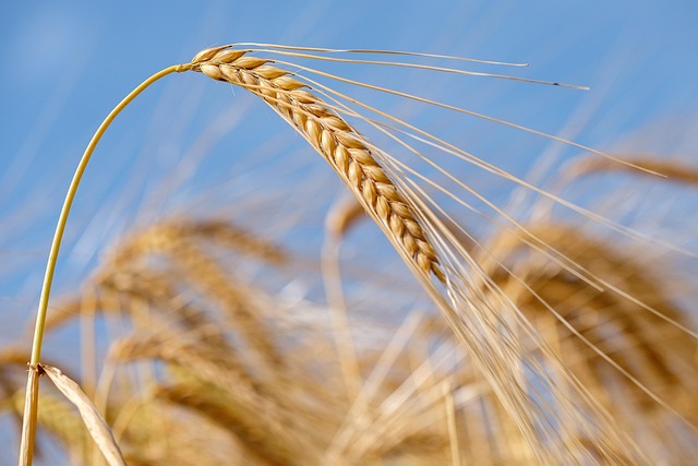 Economic migration data