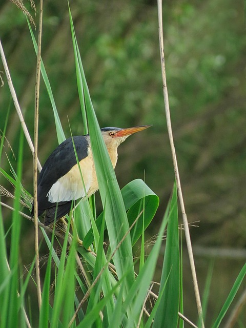 Economic migration data