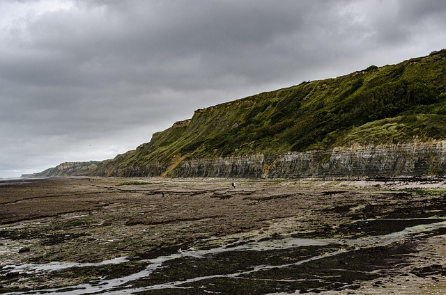 energy efficiency ratings