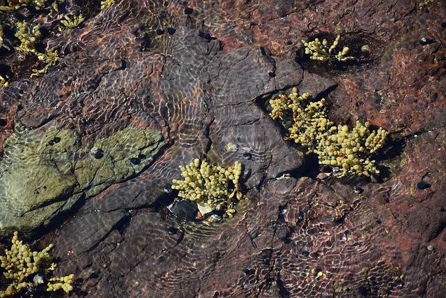 energy efficiency ratings