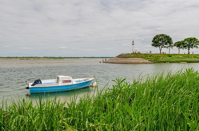 energy efficiency ratings