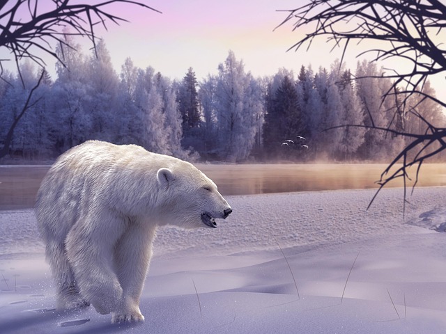 Escaping the polar vortex