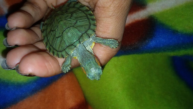 find a realtor to sell my house