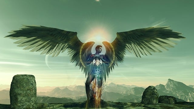 floreo at teravalis floor plans