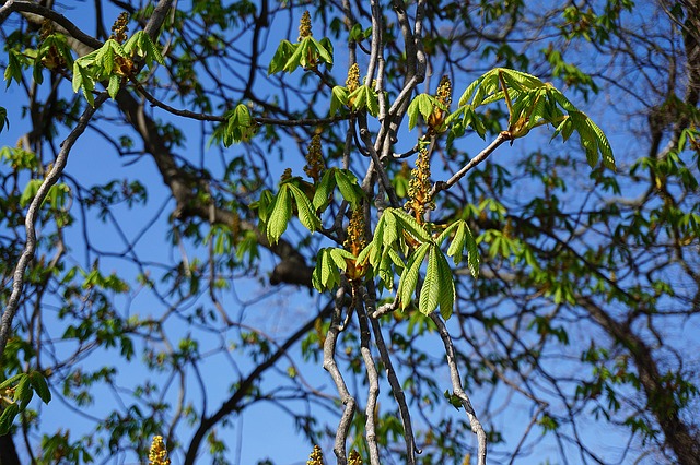 future retail and infrastructure buckeye az