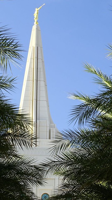 future retail and infrastructure buckeye az