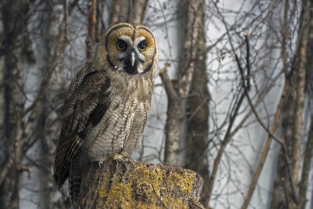 1031 Exchange Rules: Great Schools, Tax-Free Property Switch