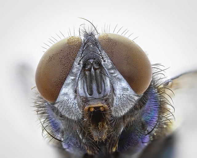 gross rent multiplier