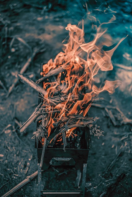 heat resilient landscaping for phoenix homes