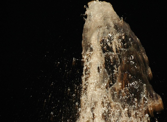 High-end property features