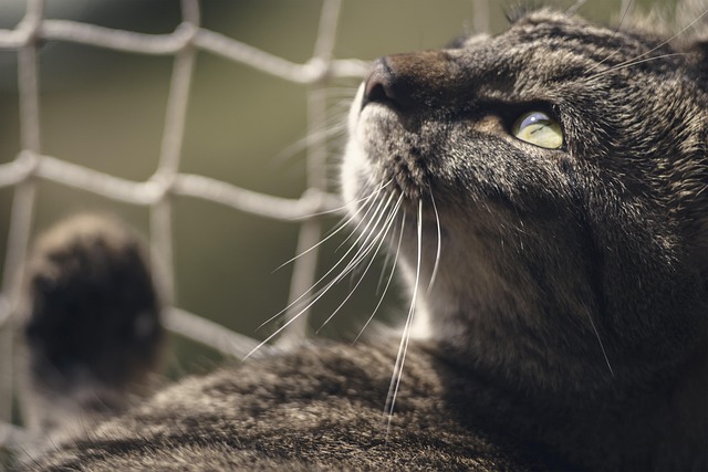 high net worth relocation to arizona 2026