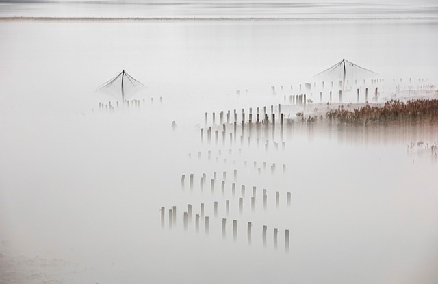 high net worth relocation to arizona 2026