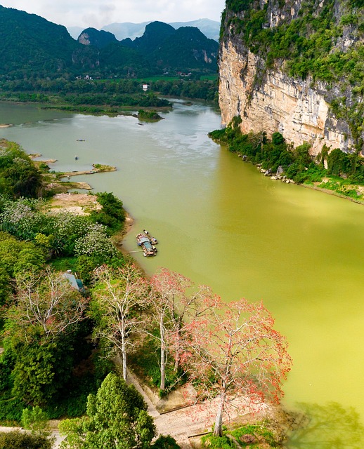 Real Estate Investing: Navigating HOA Rules for Long-Term Success