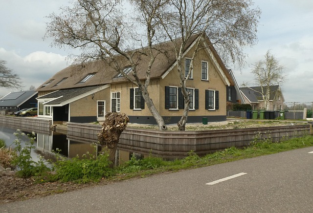 home renovation cost