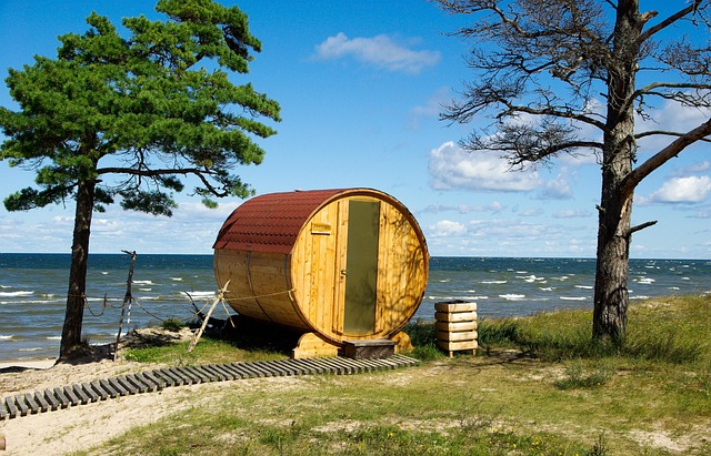 homes for sale with cold plunge and sauna spaces