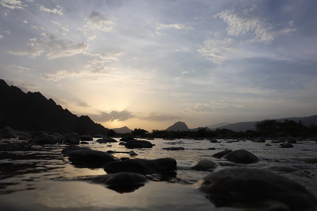 homes near mayo clinic discovery oasis