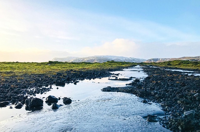 homes near mayo clinic discovery oasis
