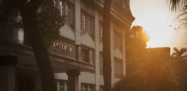 Personal Housing Plan: Find Your Perfect Home Near Mayo Clinic