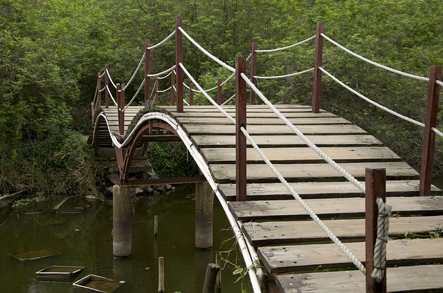 homes near mayo clinic discovery oasis campus