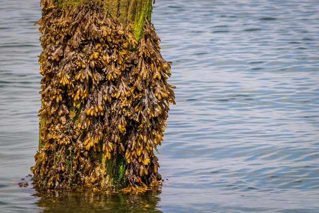 homes near north valley semiconductor plants