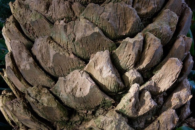 homes with engineered shade structures phoenix