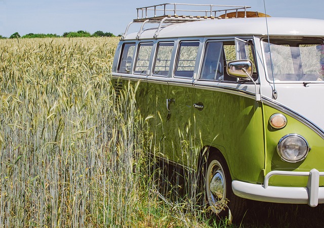 how much do realtors charge