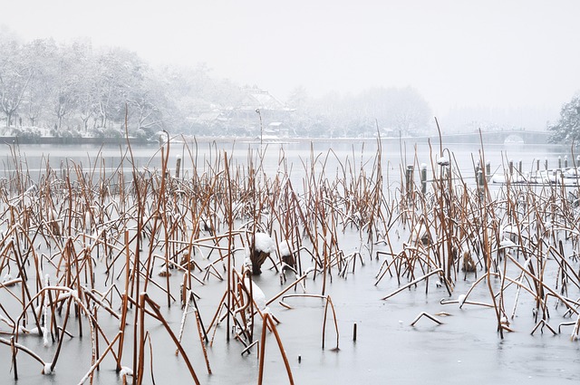 how much do realtors charge