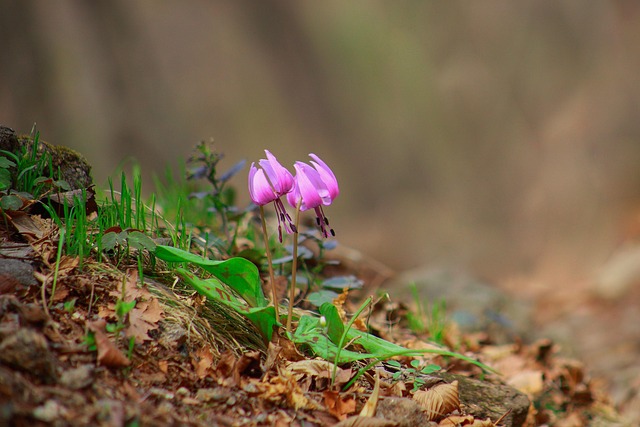 how much do realtors charge