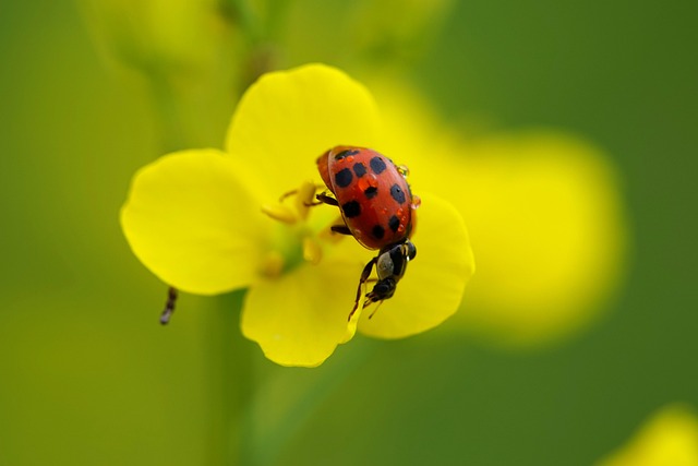 hvac replacement cost