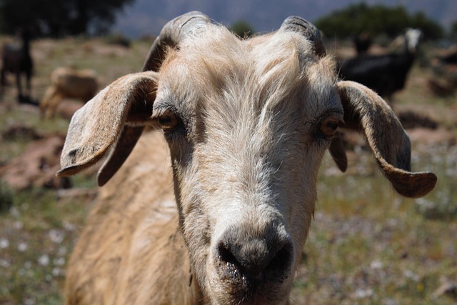 Interest Rates Today