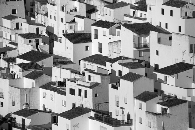 lifestyle at the park at PV phoenix