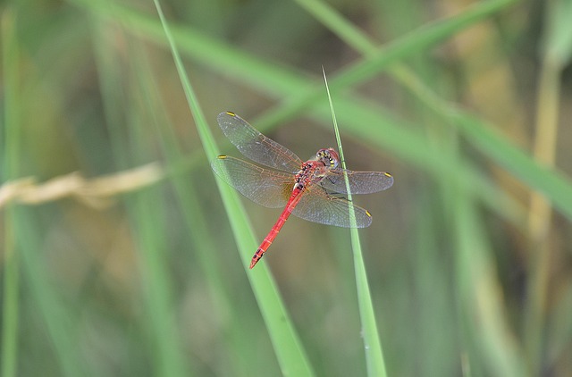 lifestyle at the park at PV phoenix