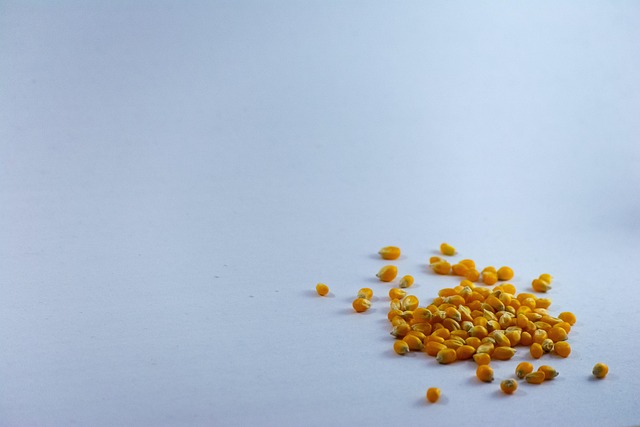 listing presentation