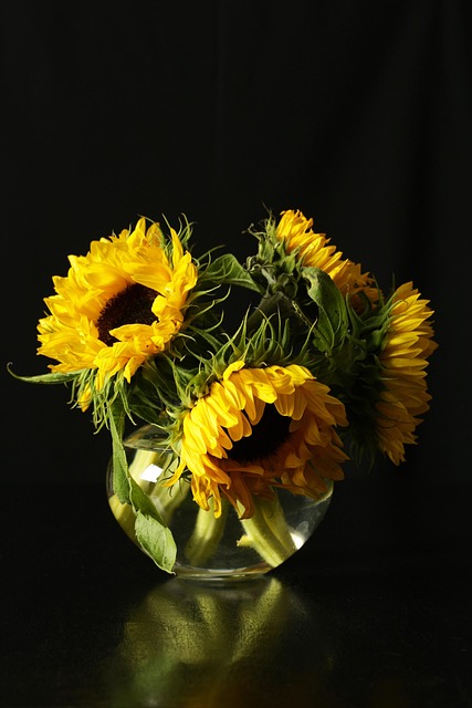 living in a phoenix casita with separate entrance