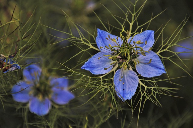 living in a phoenix vertical garden condo